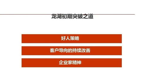 標桿龍湖 精細化管理在企業管理與運營中的實踐